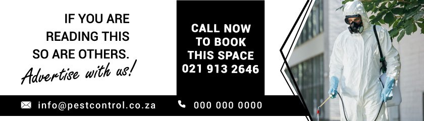 Pest Control Cape Town